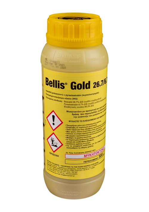 Bellis Gold 26,7/6,7 WG