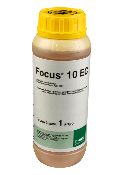 FOCUS 10 EC