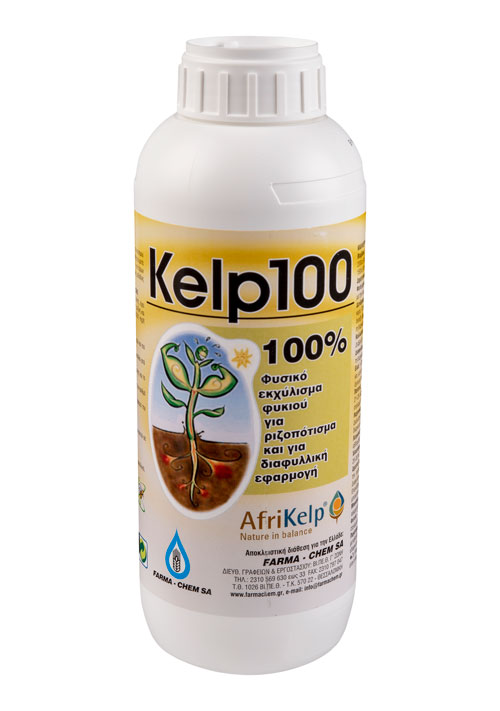 KELP – 100