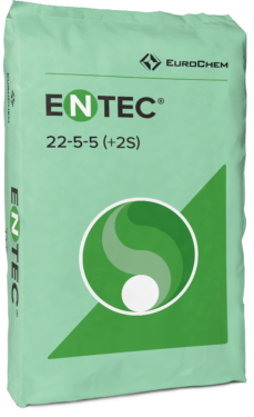 ENTEC 22-5-5 (+2S)